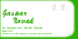 gaspar novak business card